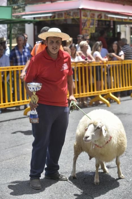 ENTREGA PREMIOS FERIA DE GANADO Y PROCESION ...