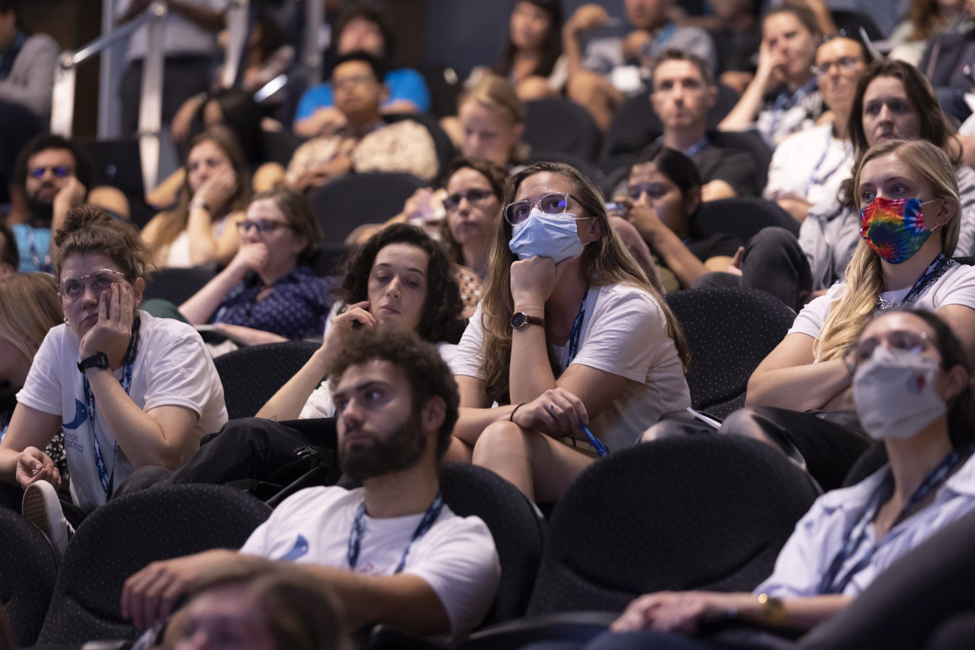 El Oceanogràfic acoge el congreso internacional por la conservación de los tiburones