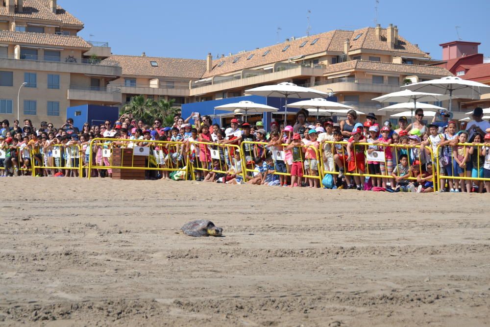 Suelta de tortugas en Dénia