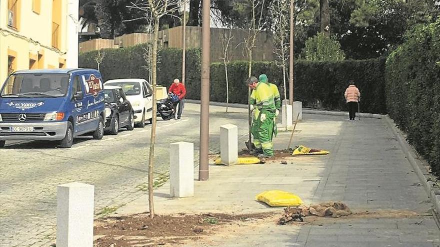 El Ayuntamiento de Mérida plantará más de un centenar de árboles en varias zonas