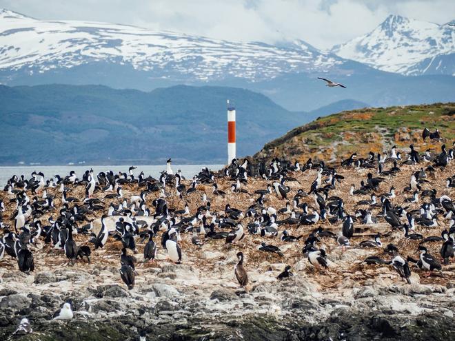 Tierra de fuego, Patagonia Argentina