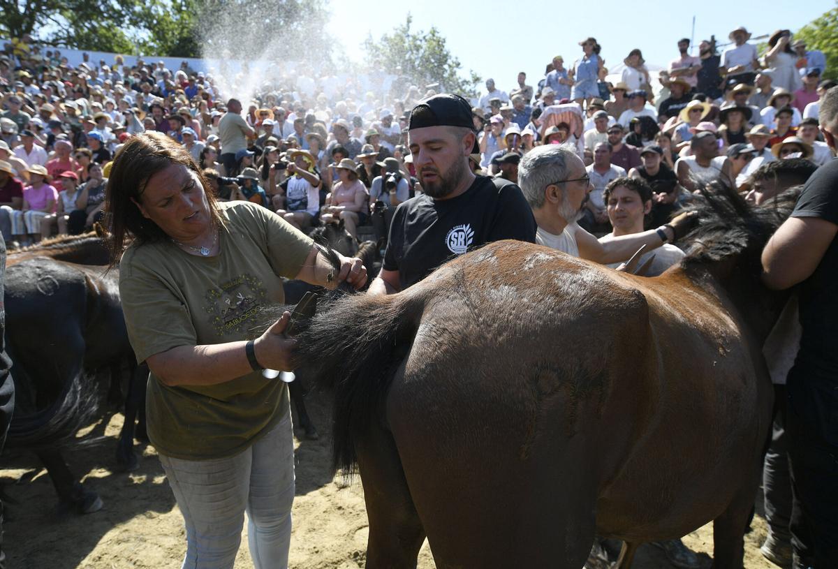 2ª Curro da Rapa das Bestas de Sabucedo, A Estrada.