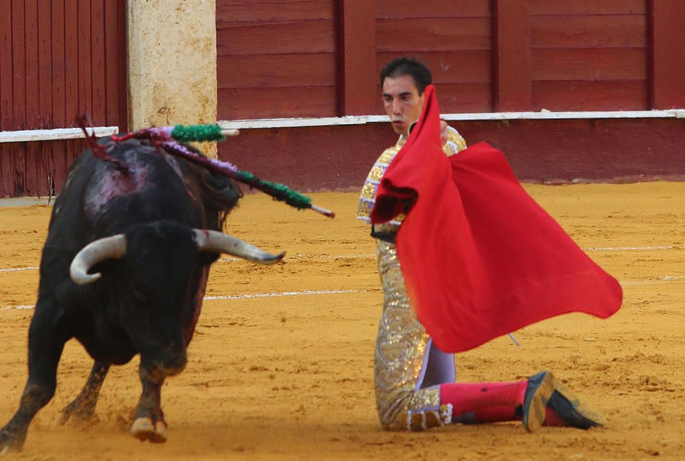 Saúl Jiménez Fortes se encierra con seis toros en la Feria Taurina