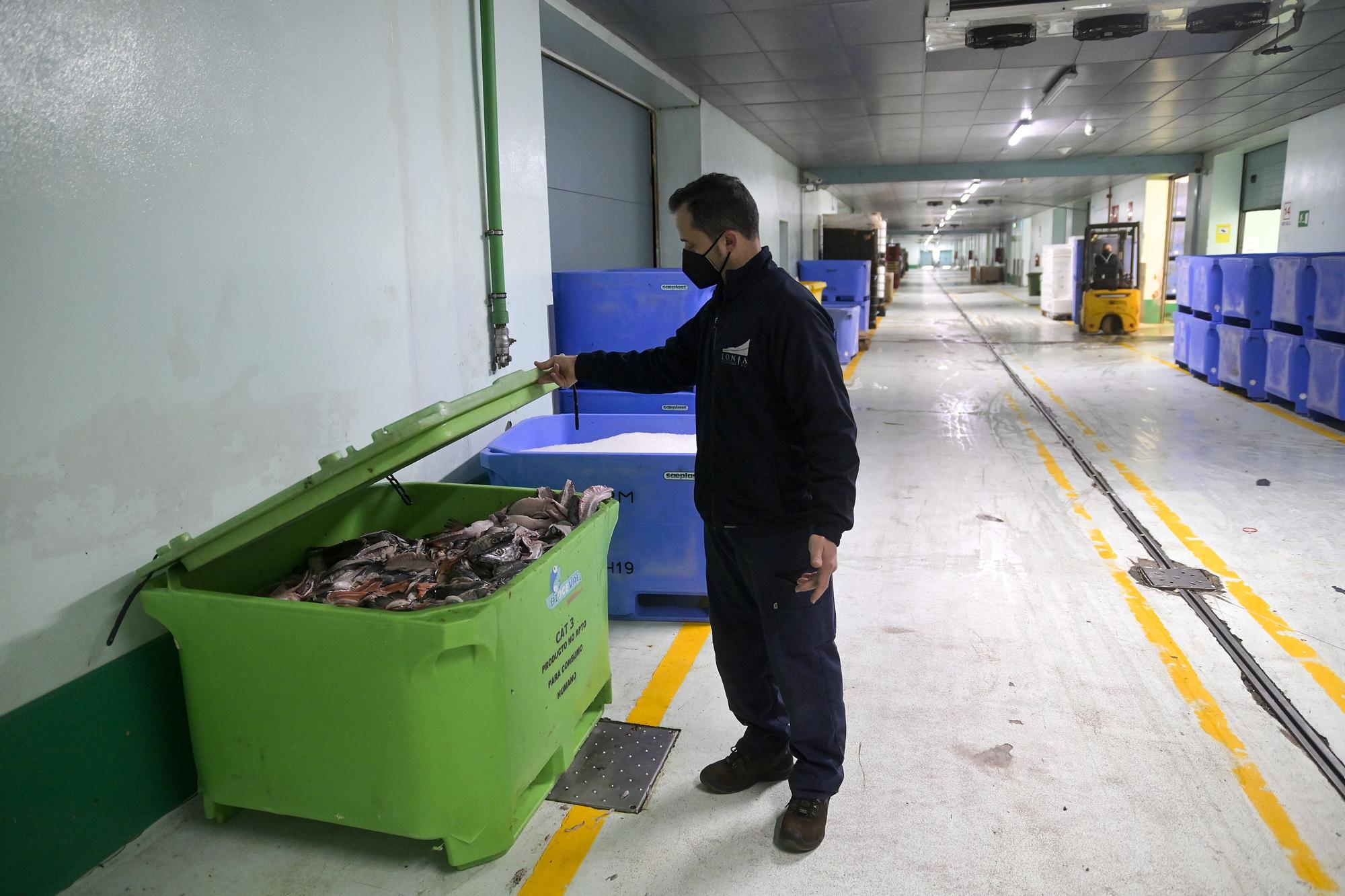 Hasta 40 toneladas de pescado se podrían perder en la lonja de A Coruña por la huelga