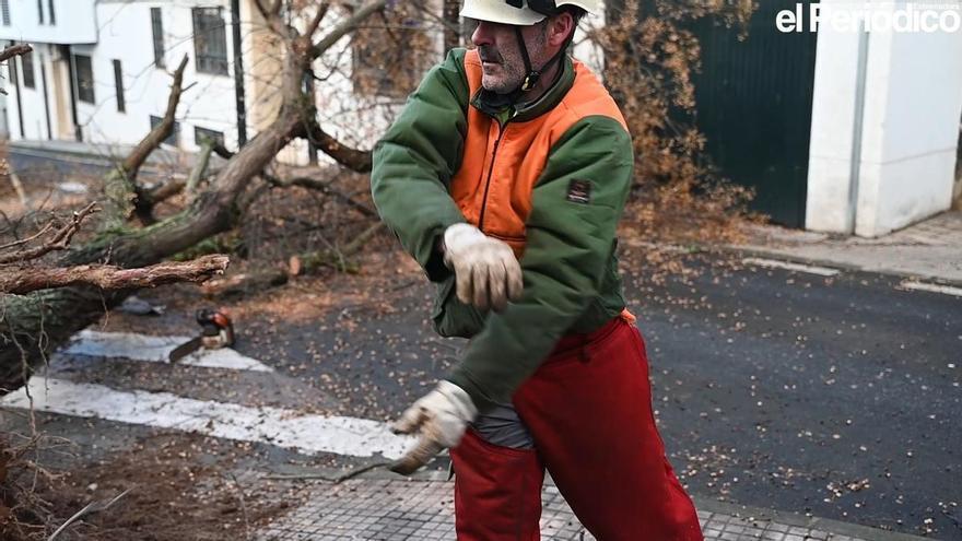 Vídeo | Estos son los daños ocasionados por la borrasca Kristin en la zona de la plaza de toros y el paseo Alto de Cáceres
