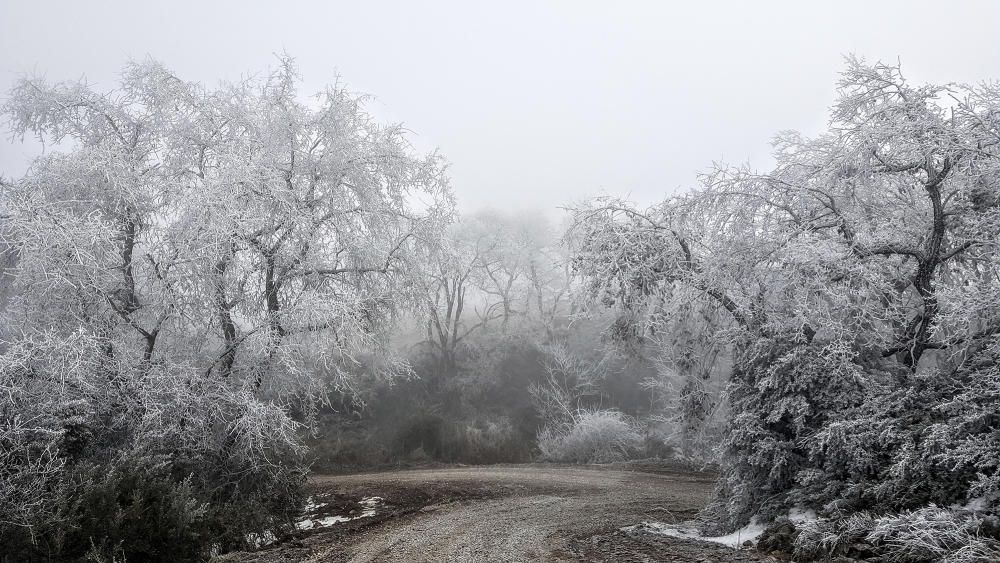 Gebrada. Aquests dies estem tenint temperatures molt baixes, i això dona pas a un fenomen meteorològic de l'hivern que ens deixa paisatges emblanquinats com aquest.