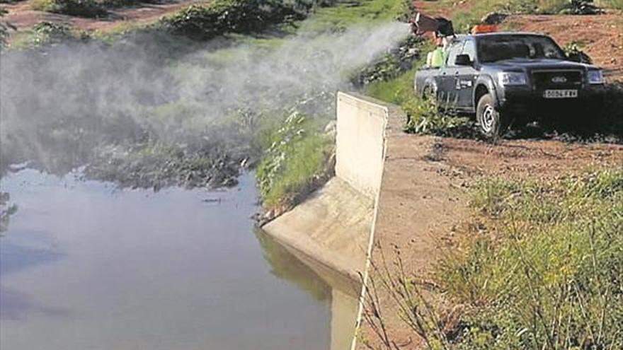 Fumigan de urgencia en el área del Hospital por la plaga de mosquitos