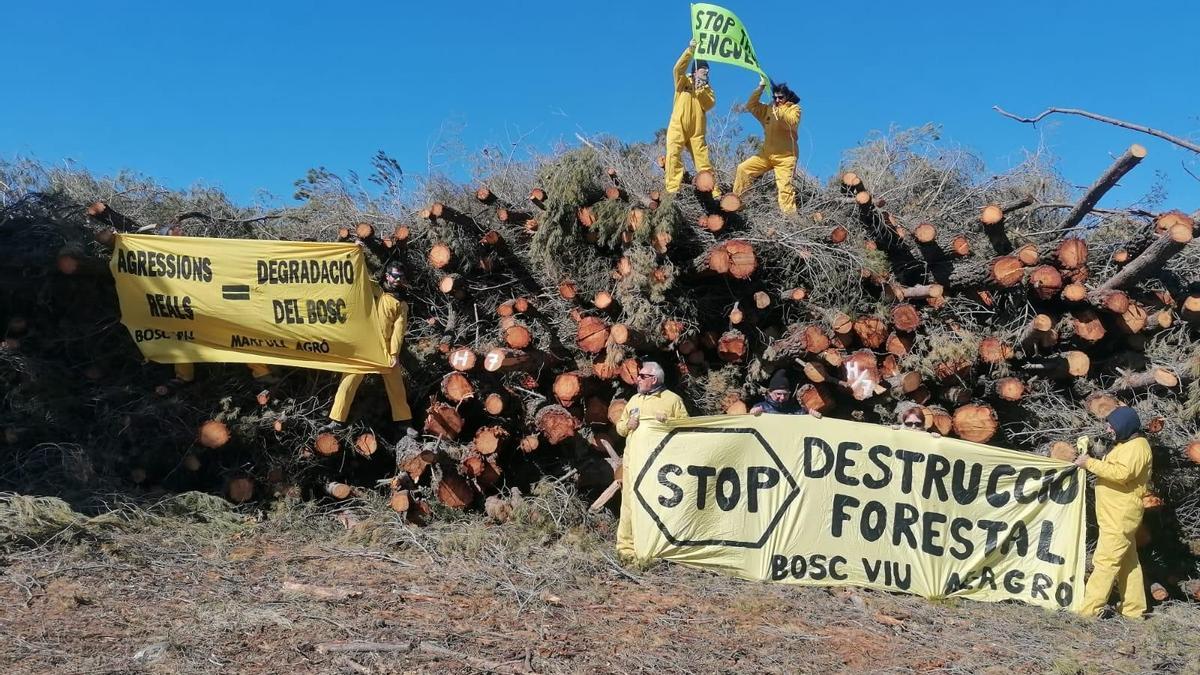 Protesta de Acció Ecologista Agró en Enguera.