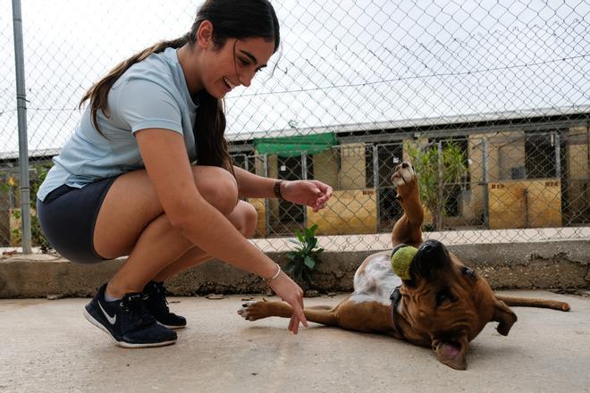 La Protectora de Animales de Málaga.