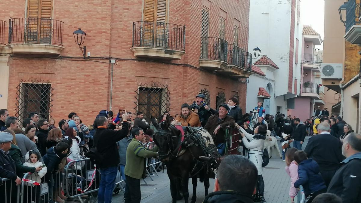 Las fotos del regreso del multitudinario pasacalle de Sant Antoni en la Vall d'Uixó