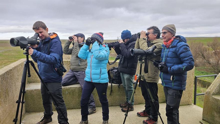 Aficionados, en uno de los observatorios habilitados en la Reserva Natural para disfrutar del espectáculo de las Lagunas de Villafáfila. | J. A. H.