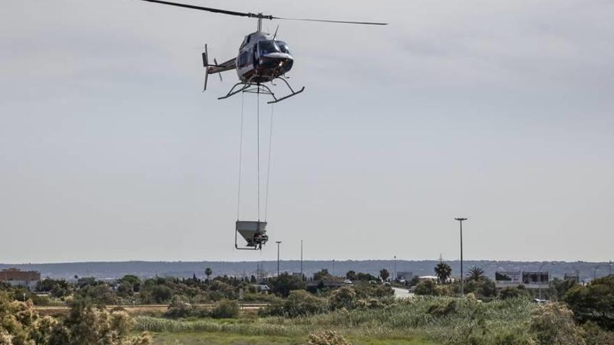 Un helicóptero fumigó en junio el humedal de ses Fontanelles.