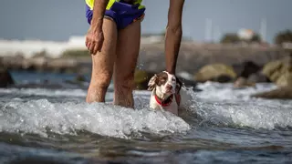 Calima y temperaturas de hasta 34ºC este miércoles en Canarias