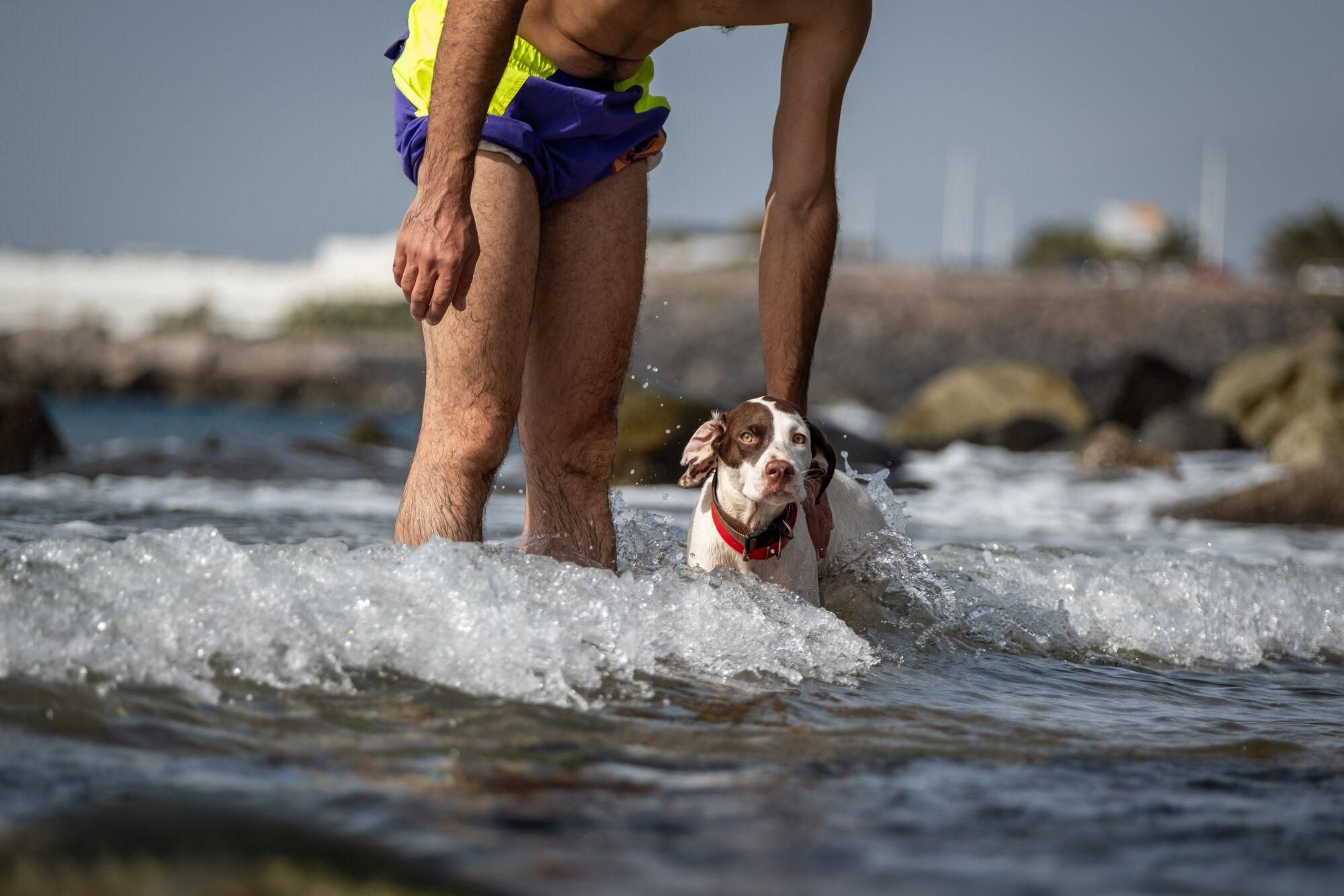 Jornada de ola de calor en Tenerife (10/08/25)