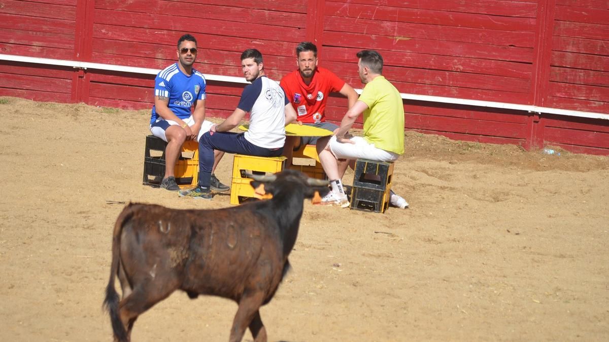 Grand Prix del pasado año en la plaza de Benavente.