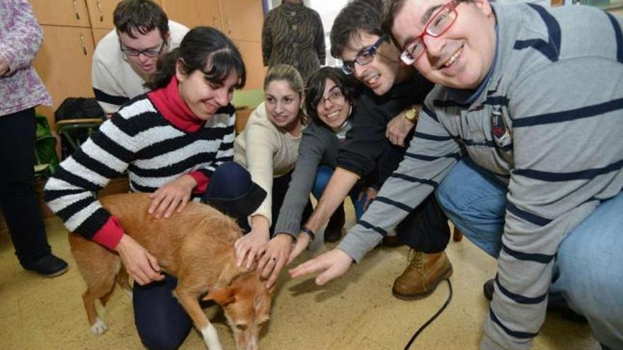 Socios de Xuntos acarician a una de las perritas recogidas por la Coordinadora de Protectoras de Pontevedra.  // Rafa Vázquez