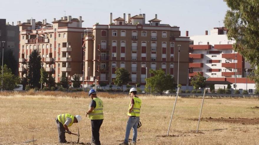 El Córdoba comienza el vallado de los terrenos del Parque del Canal