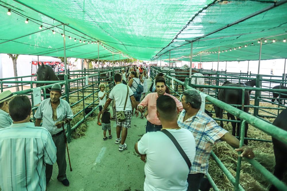 Exhibiciones ligadas a los trabajos ganaderos y agrícolas, ecuestre y canina, fiesta y feria, se dan cita en la Feria de Ganado de Dolores, el Fegado.