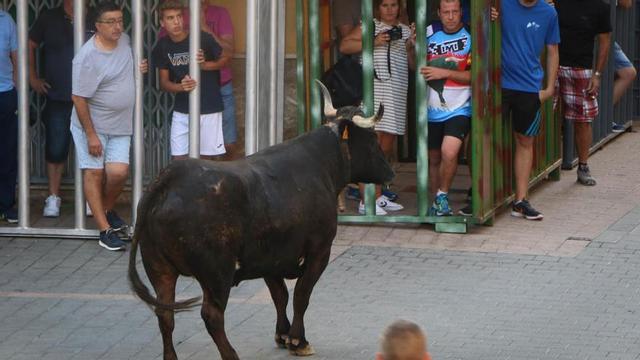 Imagen de archivo de la Fiesta de la Vaca de Castalla