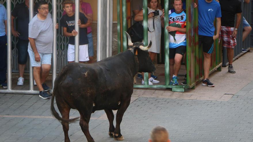 Un niño de un año resulta herido grave tras caer de una tribuna antes de la suelta de la vaca de Castalla