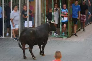 Un niño de un año resulta herido grave tras caer de una tribuna antes de la suelta de la vaca de Castalla