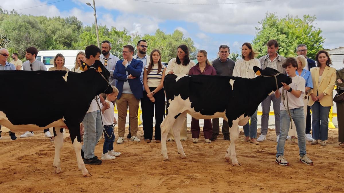 FOTOS | Búscate en la Fira de ses Vaques de Campos