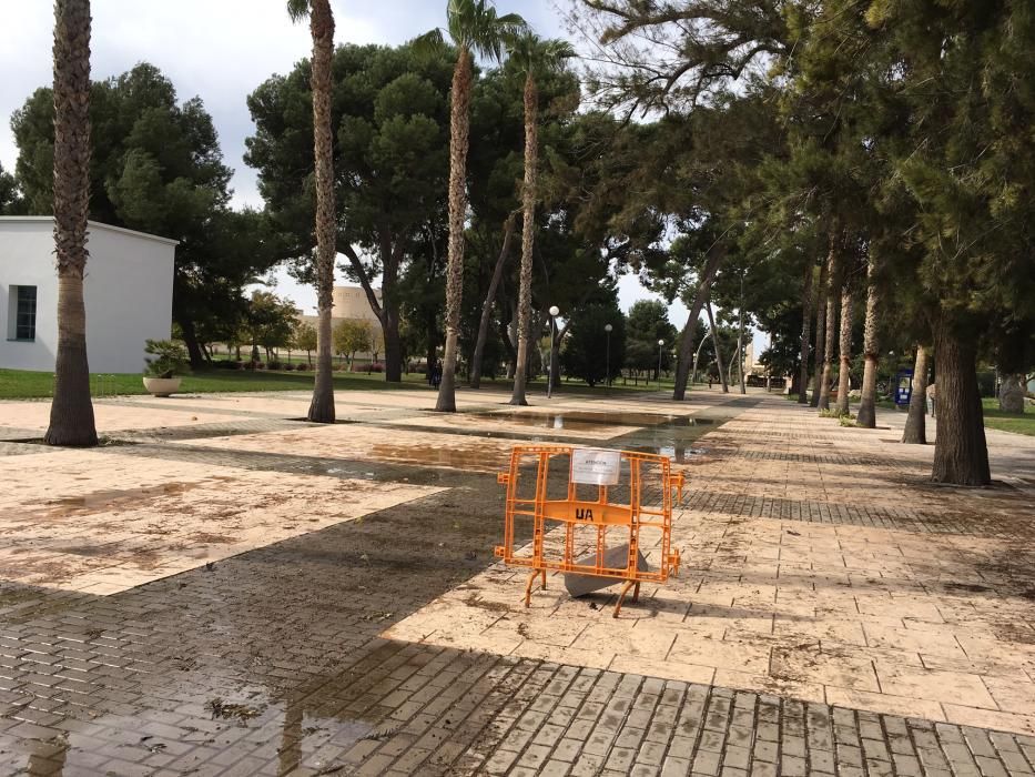 Precaución en la Universidad de Alicante por el viento