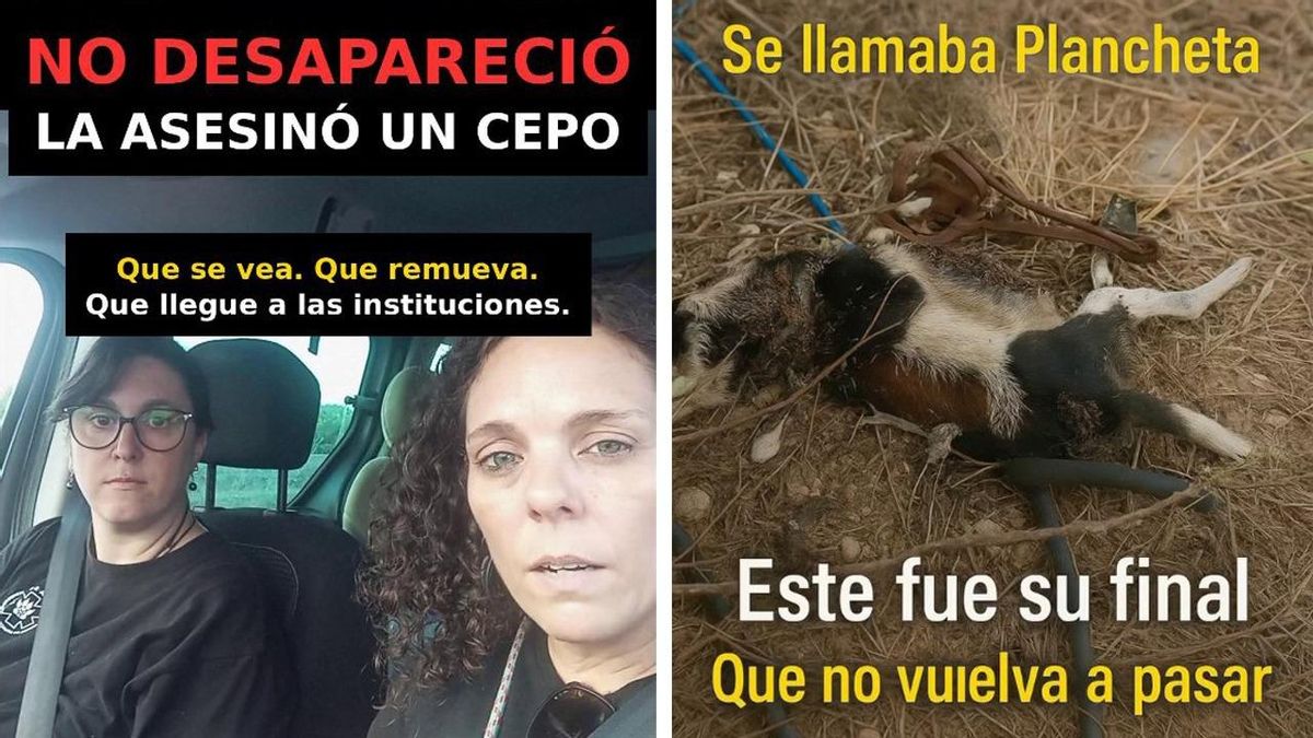 Montaje con miembros de RASE y el estado en el que fue hallada la perra.