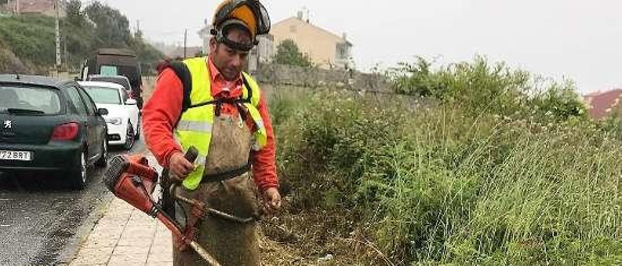 Desbroces realizados por el Concello. // Muñiz