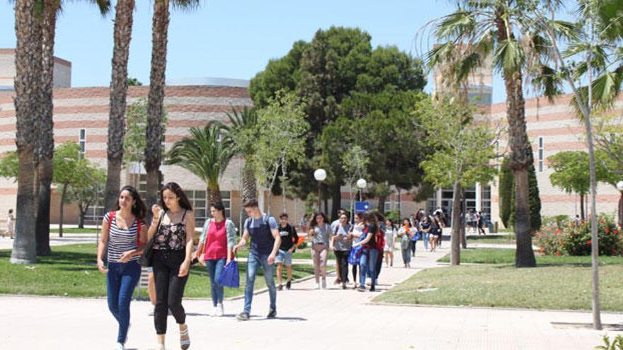 La Universitat d&#039;Alacant, entre les més transparents d&#039;Espanya