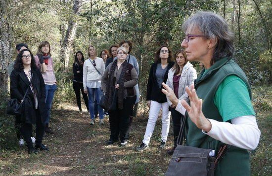 Boscos terapèutics gironins