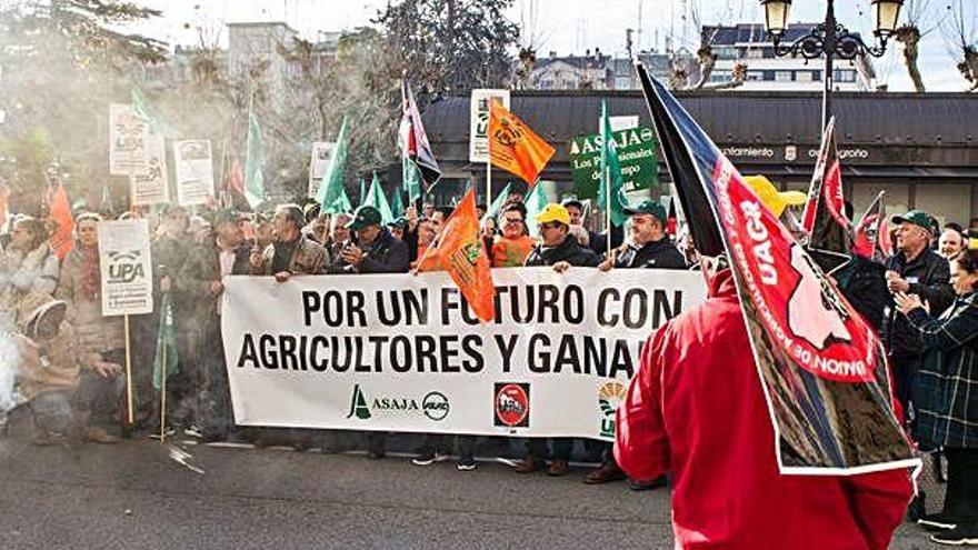 Els agricultors s&#039;han manifestat a diverses ciutats aquesta setmana.