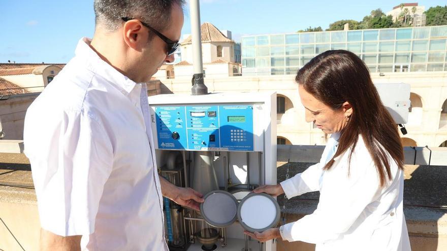 Alertan de un repunte de pólenes de salsola y ciprés en la Región de Murcia