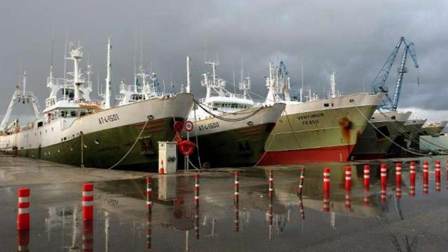 Flota gallega de altura amarrada a puerto. / marcos canosa