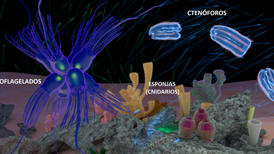 Gráfico elaborado por Neurociencias