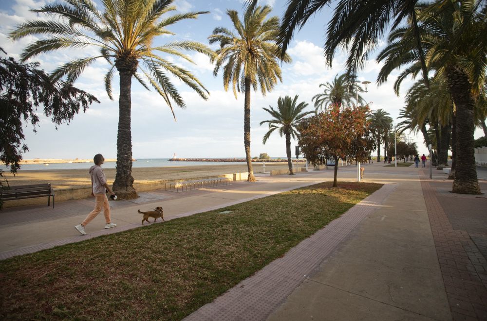 Un paseo por las playas de La Pobla de Farnals