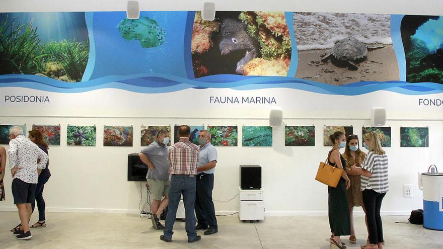 Tots els blaus de la mar, a Puçol