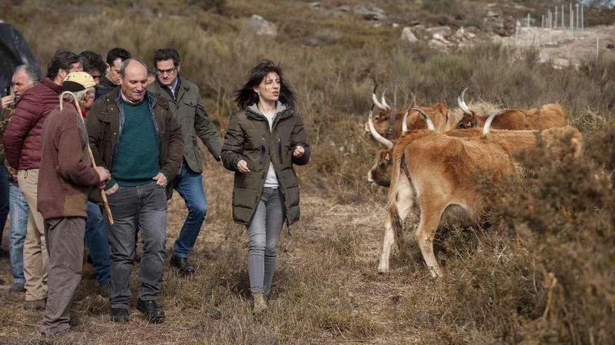 La conselleira de Medio Rural supervisa los trabajos realizados en Cualedro. // Brais Lorenzo