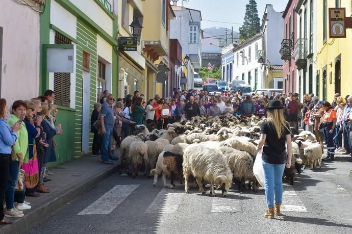 08-03-2020 VALLESECO. Feria del Queso y ruta trashumante femenina en el Cruce de Cueva Corcho. Fotógrafo: ANDRES CRUZ  | 08/03/2020 | Fotógrafo: Andrés Cruz