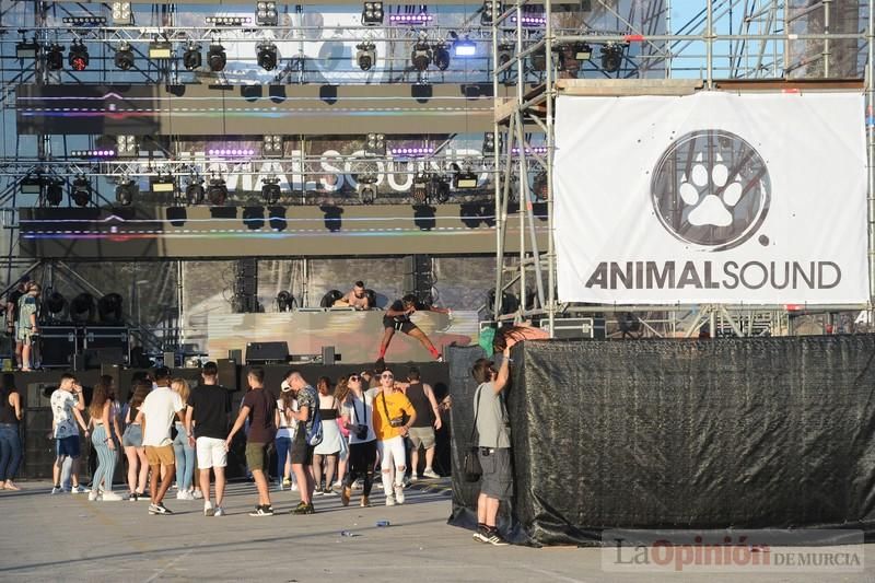 Animal Sound: viernes tarde