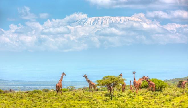 Amboseli, Kenia