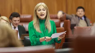 Finalizan las intervenciones en Córdoba del Plan de Bioclimatización para mejorar las condiciones térmicas de los centros educativos