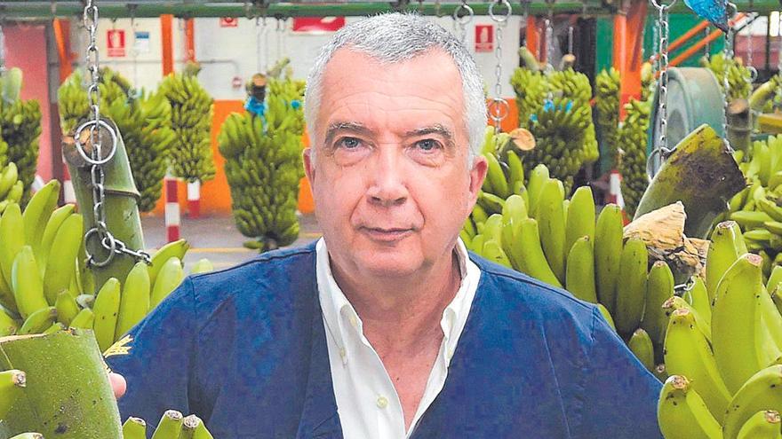 Los agricultores de Canarias sacan los tractores: en busca de una marca única para el plátano canario