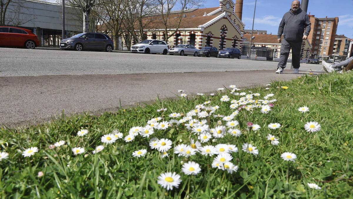 Exterior del centro de empresas La Curtidora.