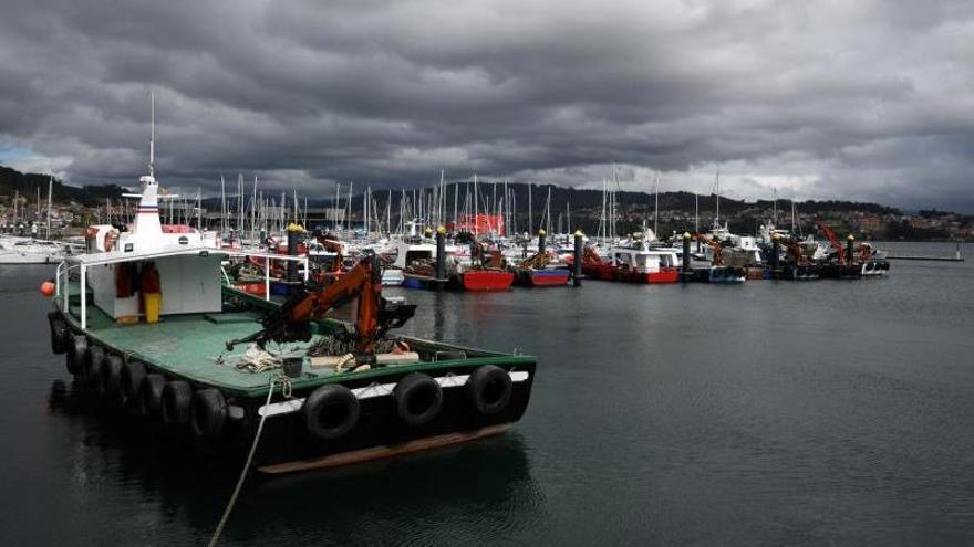 Pesqueros amarrados en el puerto de Combarro