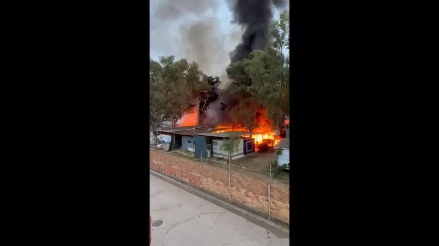 Un incendio obliga a desalojar un camping en el Perelló