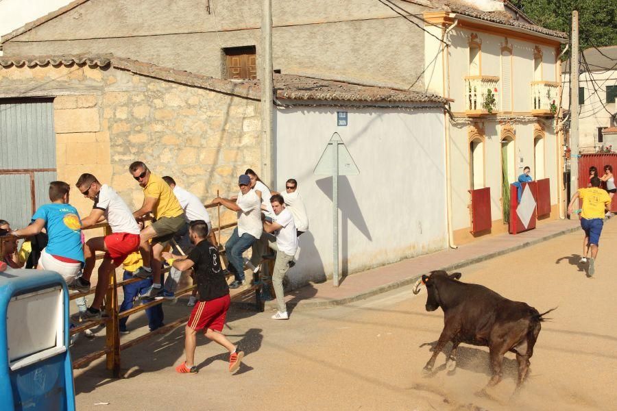 Fiestas en Zamora: Encierro en Argujillo