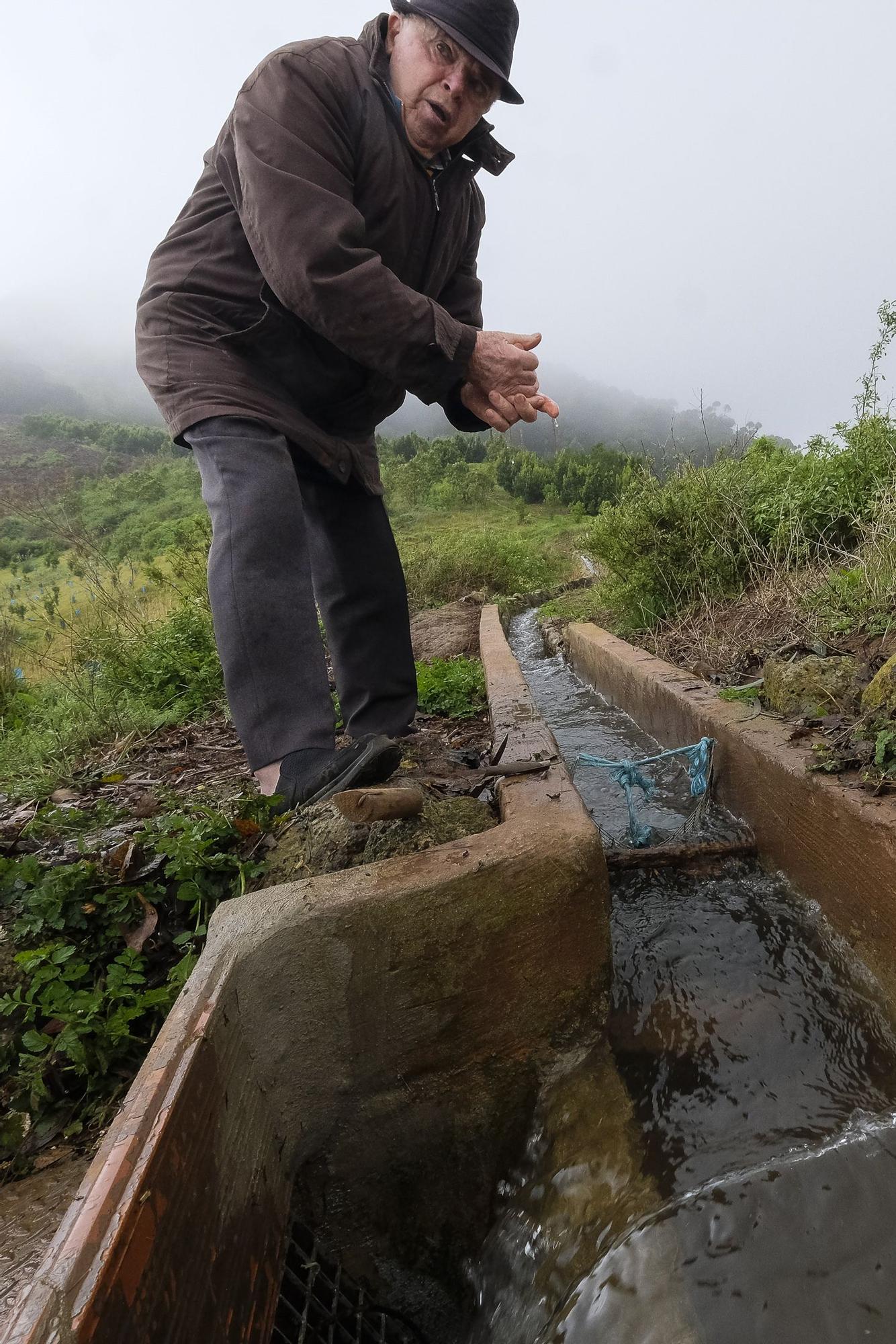 Las medianías de Gran Canaria tras las lluvias de enero