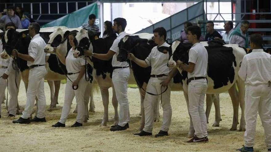 Arriba, reses ganadoras en Agropec. Sobre estas líneas, a la izquierda, muestra de verduras y hortalizas, y a la derecha, dos personas disfrutan de una degustación gratuita.