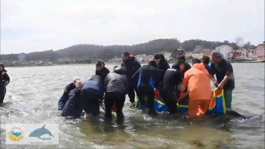 Rescate de dos arroaces en A Illa de Arousa